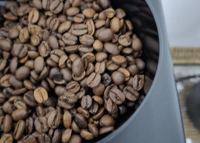 Appartement Les Hirondelles *